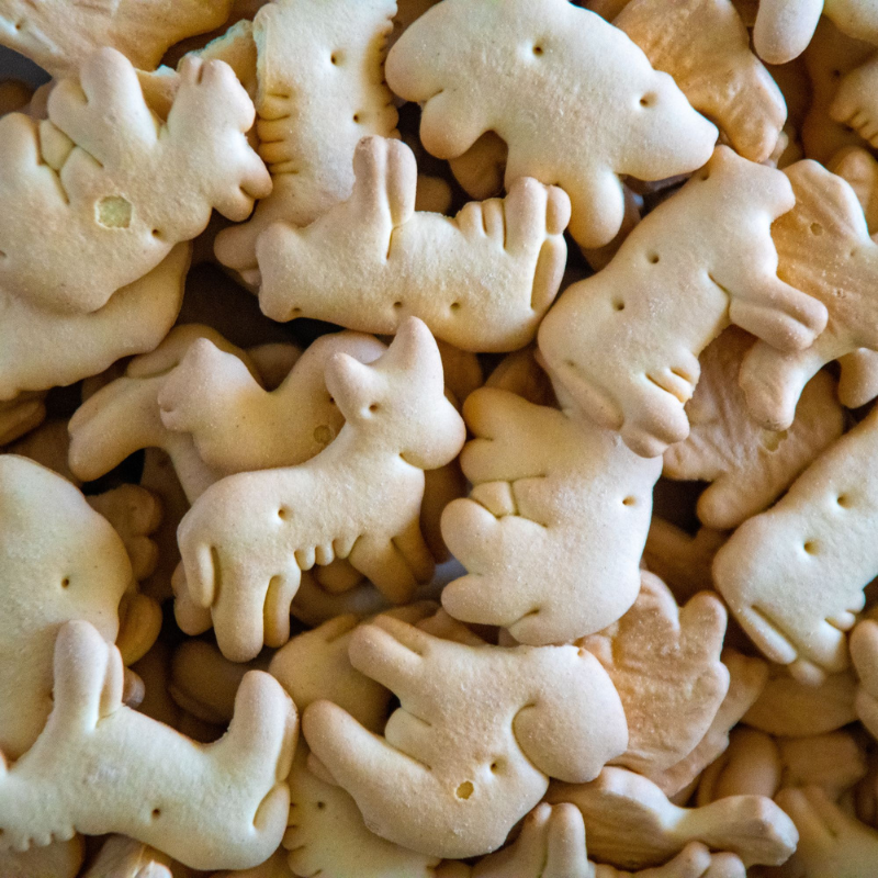 Animal Cookies