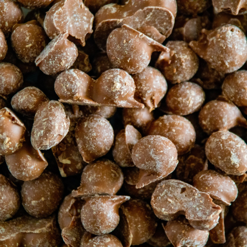 Chocolate Covered Peanuts