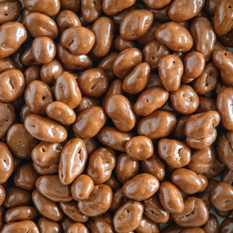 Chocolate Covered Raisins