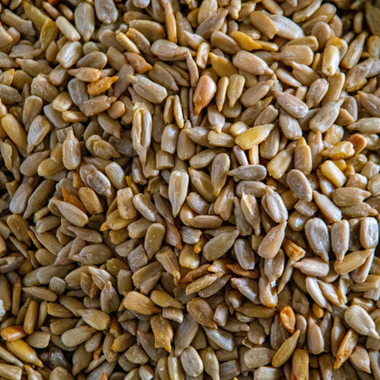 Roasted And Salted Sunflower Seeds
